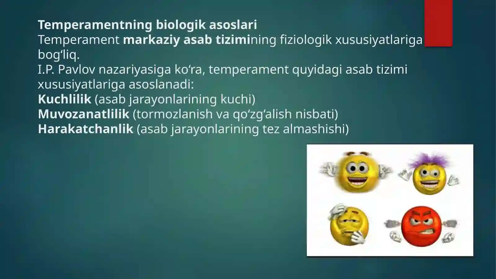 Temperament individual tipalogik xususiyat sifatida 4