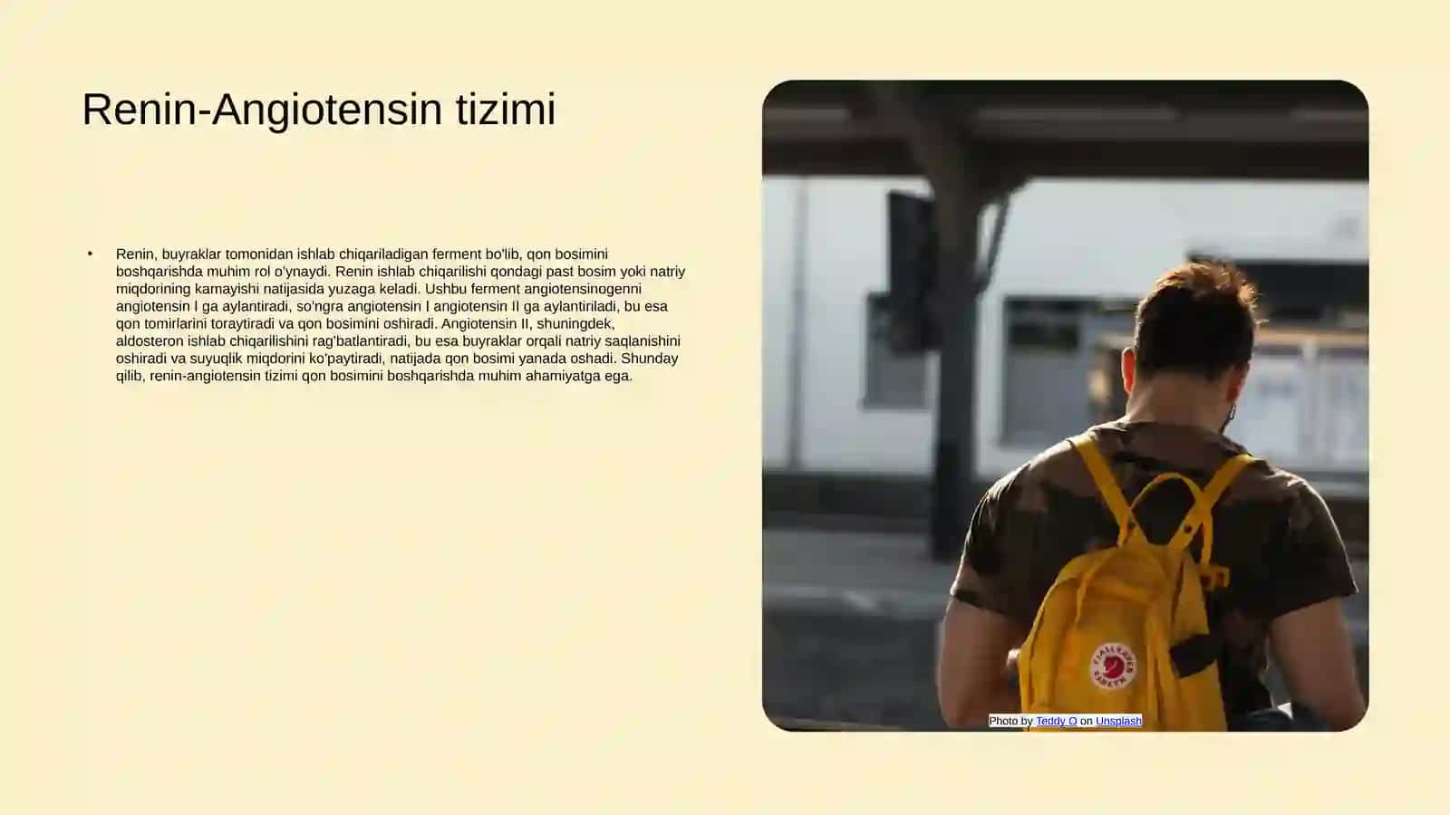 Buyraklarning qon bosimiga ta'siri va mexanizmlari 4