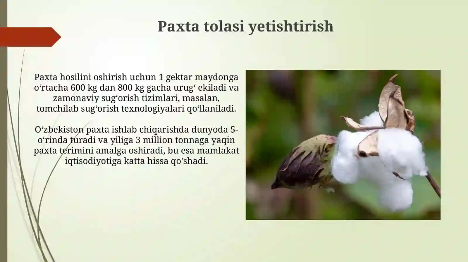Davolovchi vannalar 4