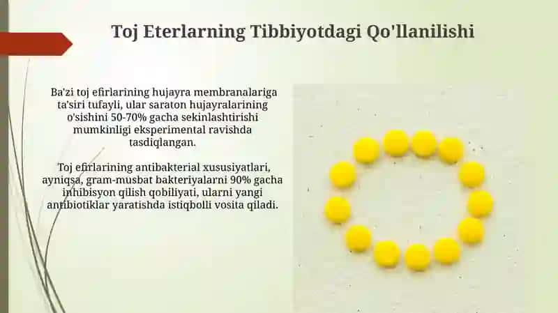Toj Eterlarning Antibakterial Ta'siri 4