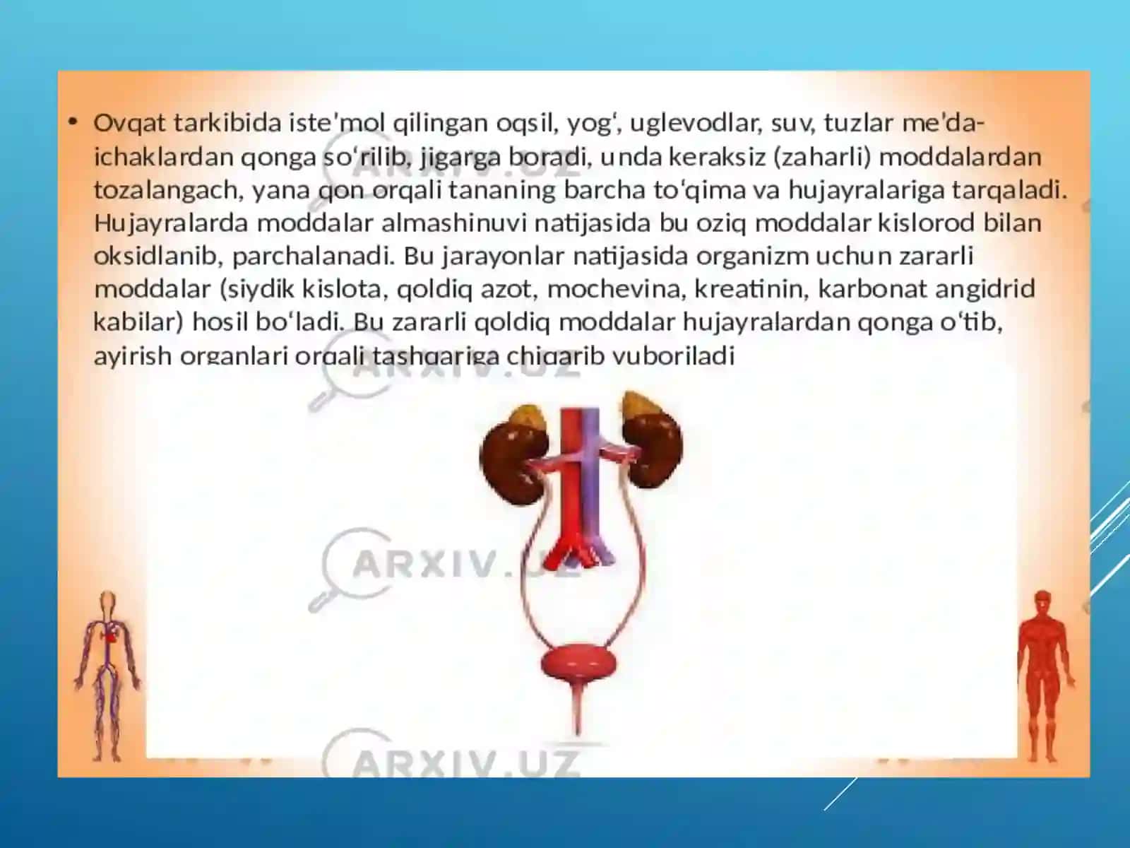 Nafastizimlarini Yoshxususiyatlari va Gigienasi 4