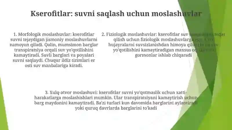 Turli Ekologik Guruh O‘Simliklarida Suv Almashinuvi 4