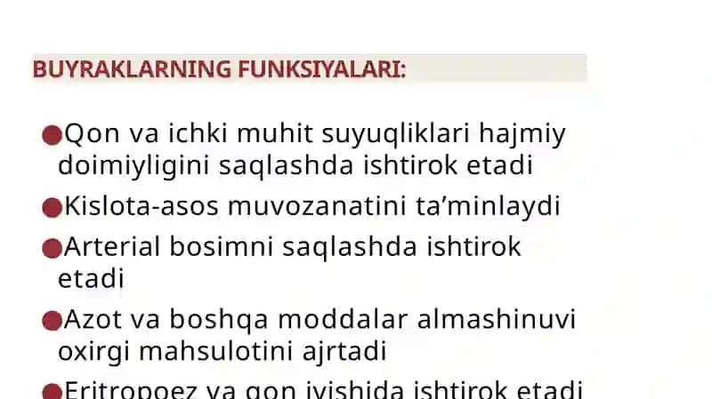 AYIRISH SISTEMASI 4