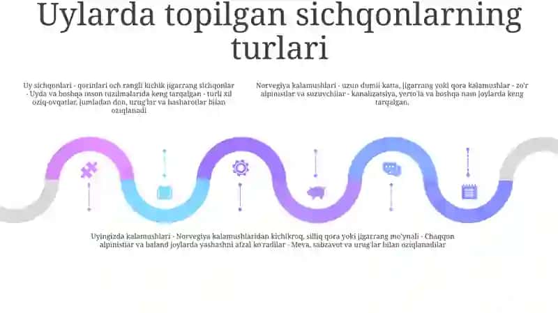 Xonadonlarda Dala Va Uy Sichqonlariga Qarshi Kurashish 4