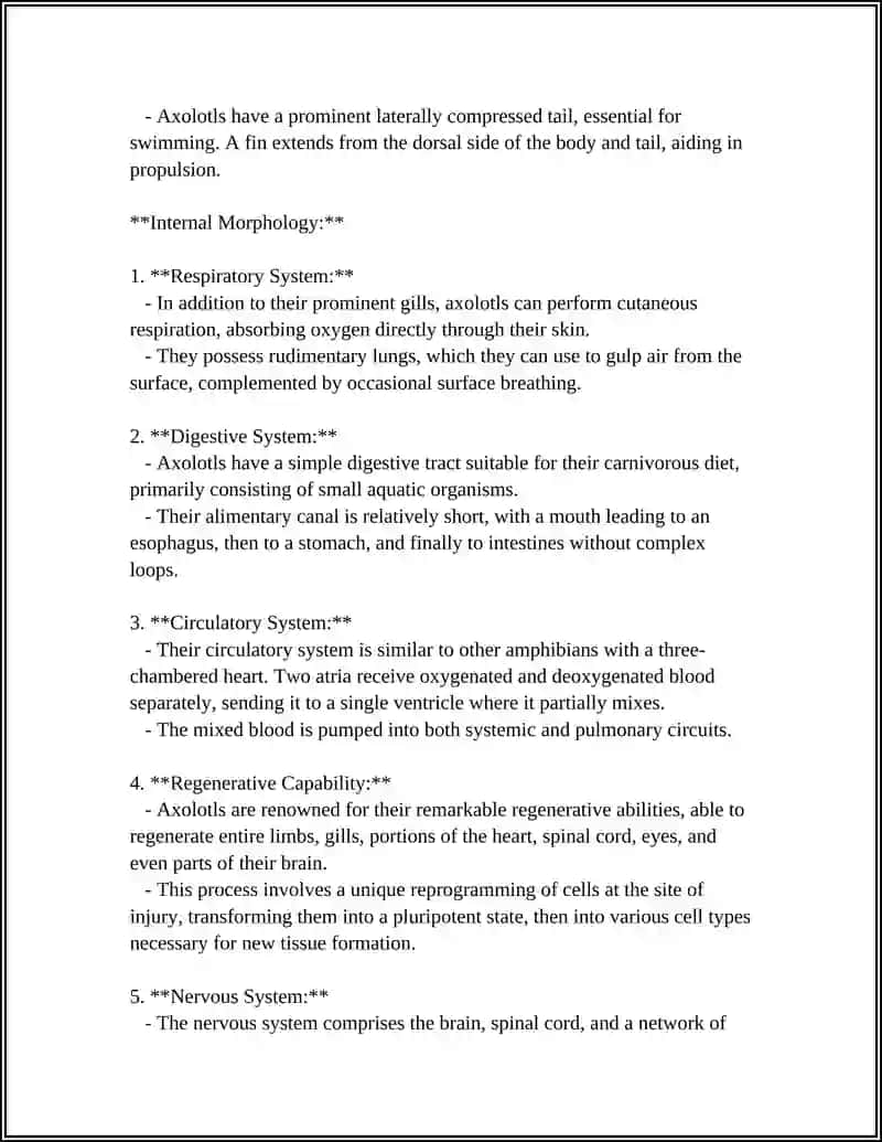 AXOLOTE REFERAT 4
