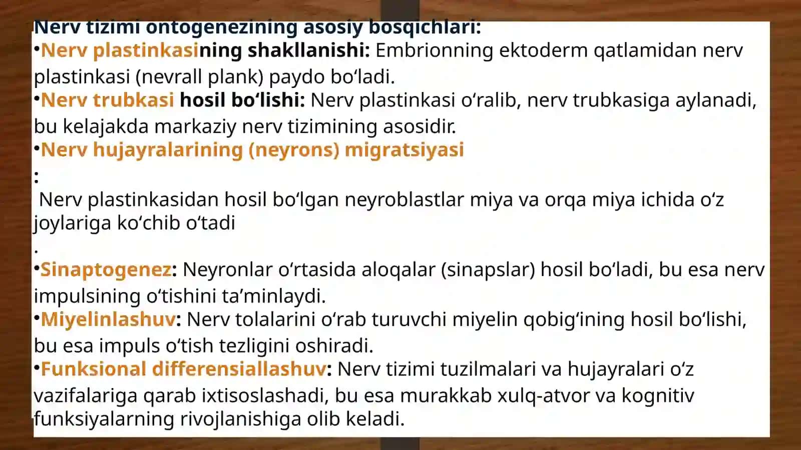 Nerv tizimi ontogenezi 4
