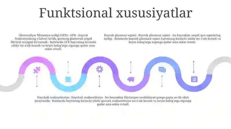 Bolalarda Buyraklarni Anatomo-Fiziologik Xususiyatlari 4