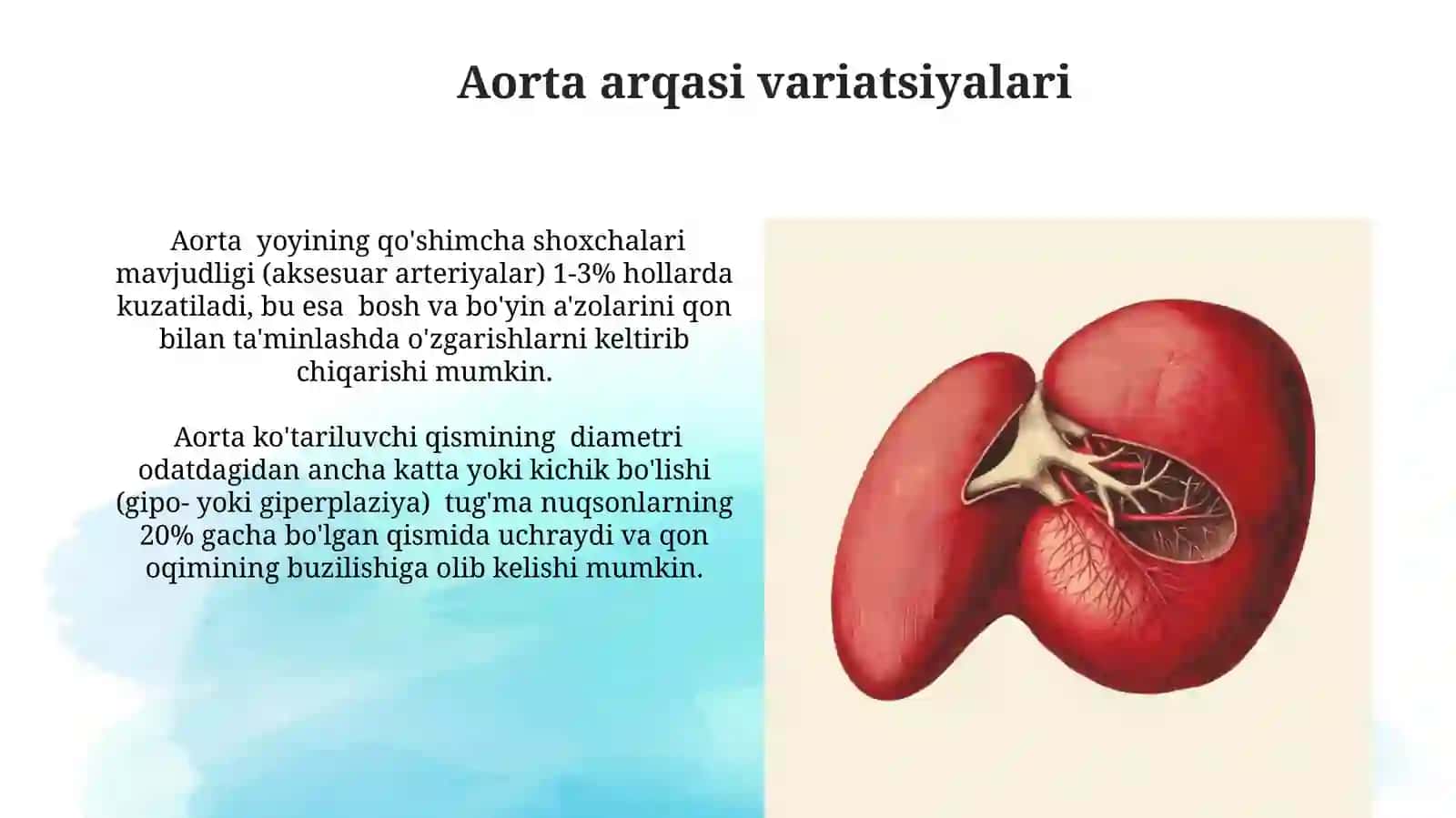 Aorta rivojlanishi va uninganatomikvariantlari 4