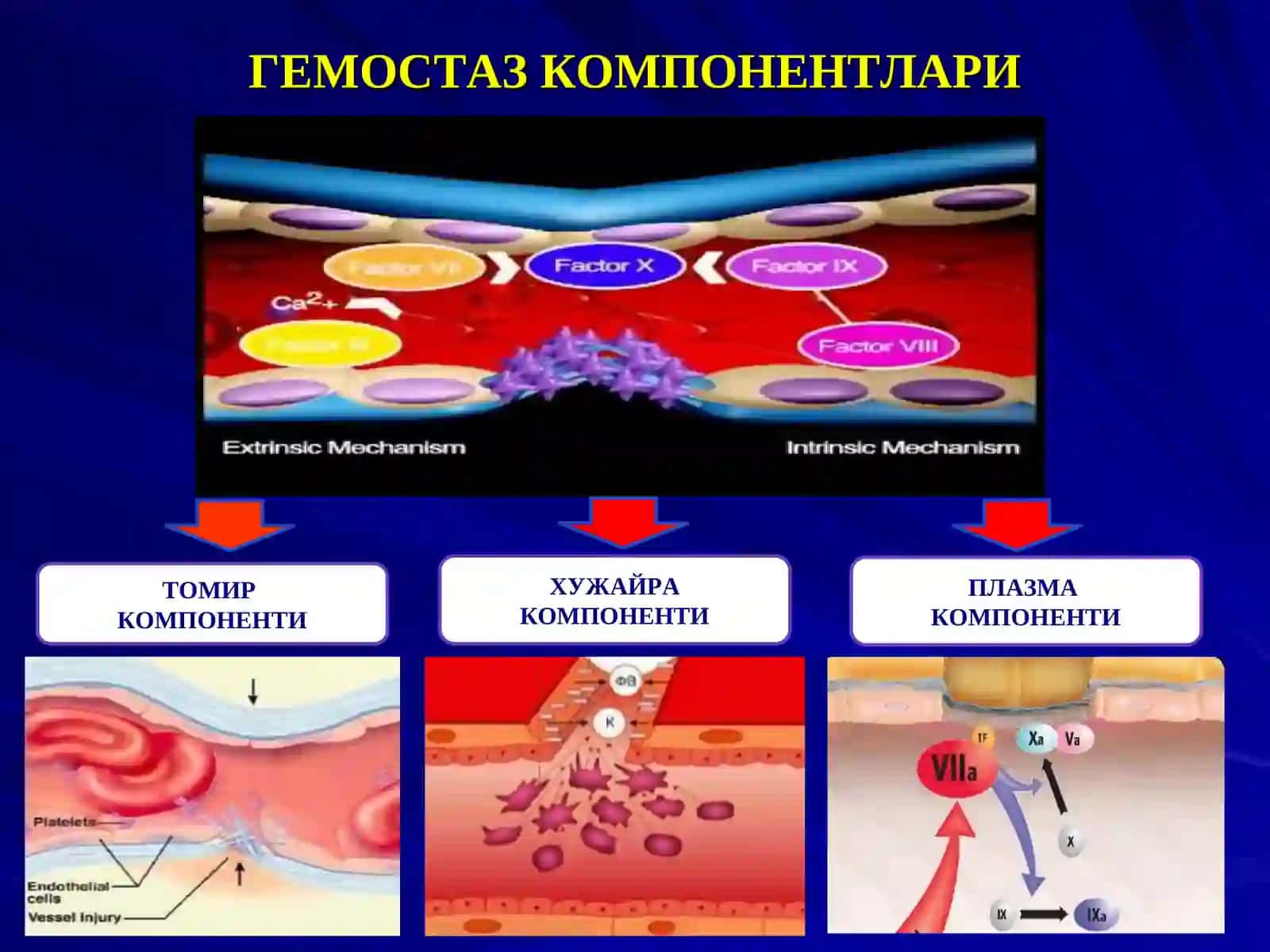 ҚОН ИВИШ ТИЗИМИ ЛАБОРАТОР КЎРСАТКИЧЛАРИ 4