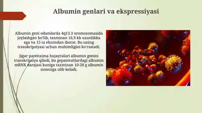 Albumin oqsili va ularning post translatsion modifikatsiyalari 4