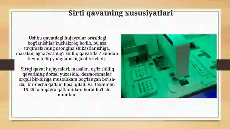 Köp qavatli muguzlanmaydigan yassi epiteliyning qavatlarini tahlil qilish 4