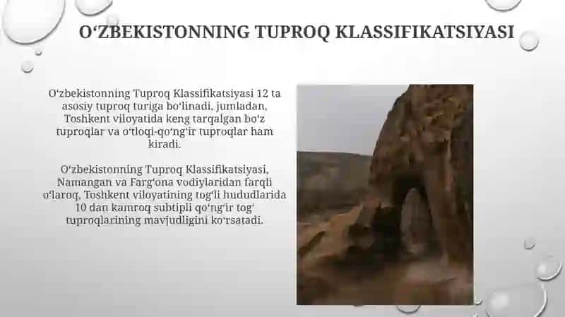 Toshkent tuproqlari 4