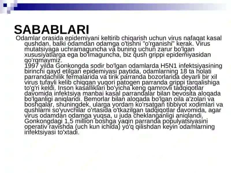 Parranda va cho’chqa grippi va uning xozirgi  muommolari 4