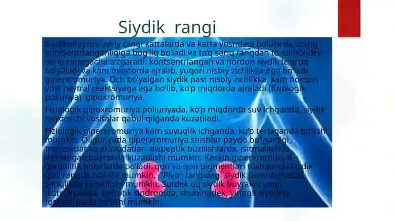 Buyrak peshob ajratish tizimi kasalliklarda so'rab surishtirish. Ko'zdan kechirish fizikal va laborator-instrumental tekshiruv usullari 4