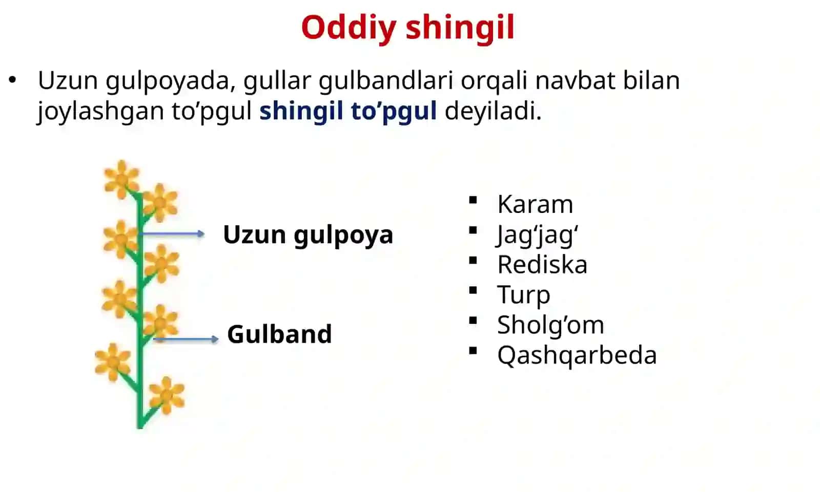 TO’PGUL; MEVA URUG Botanika 5-dars 4