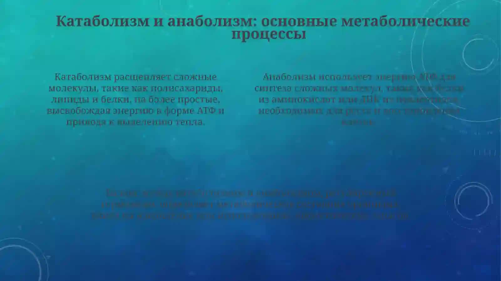 Обменвеществаиэнергии 4