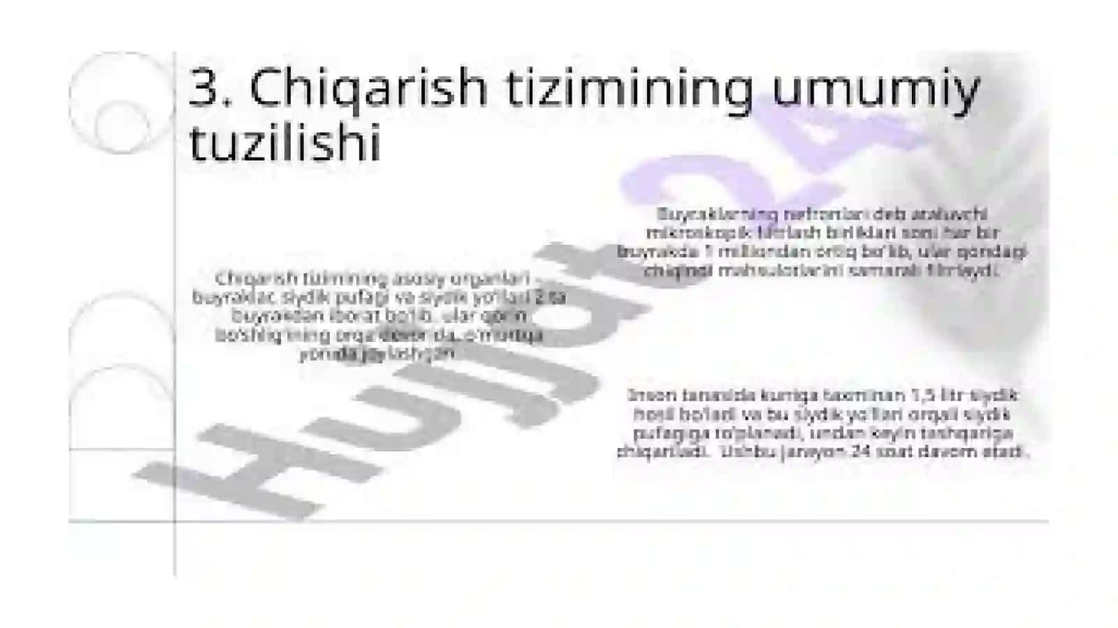 Mavzu: Ayirish tizimiga kirivchi azolarning tuzilishi, fizialogiyasi 4