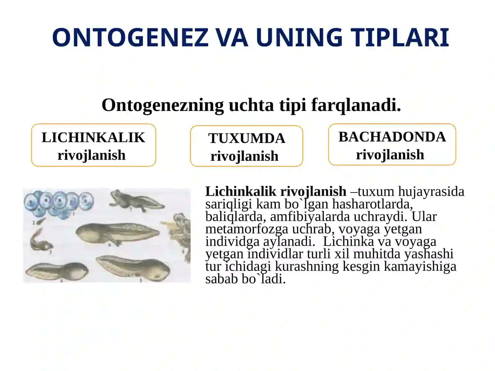 ONTOGENEZ VA UNING TIPLARI 4