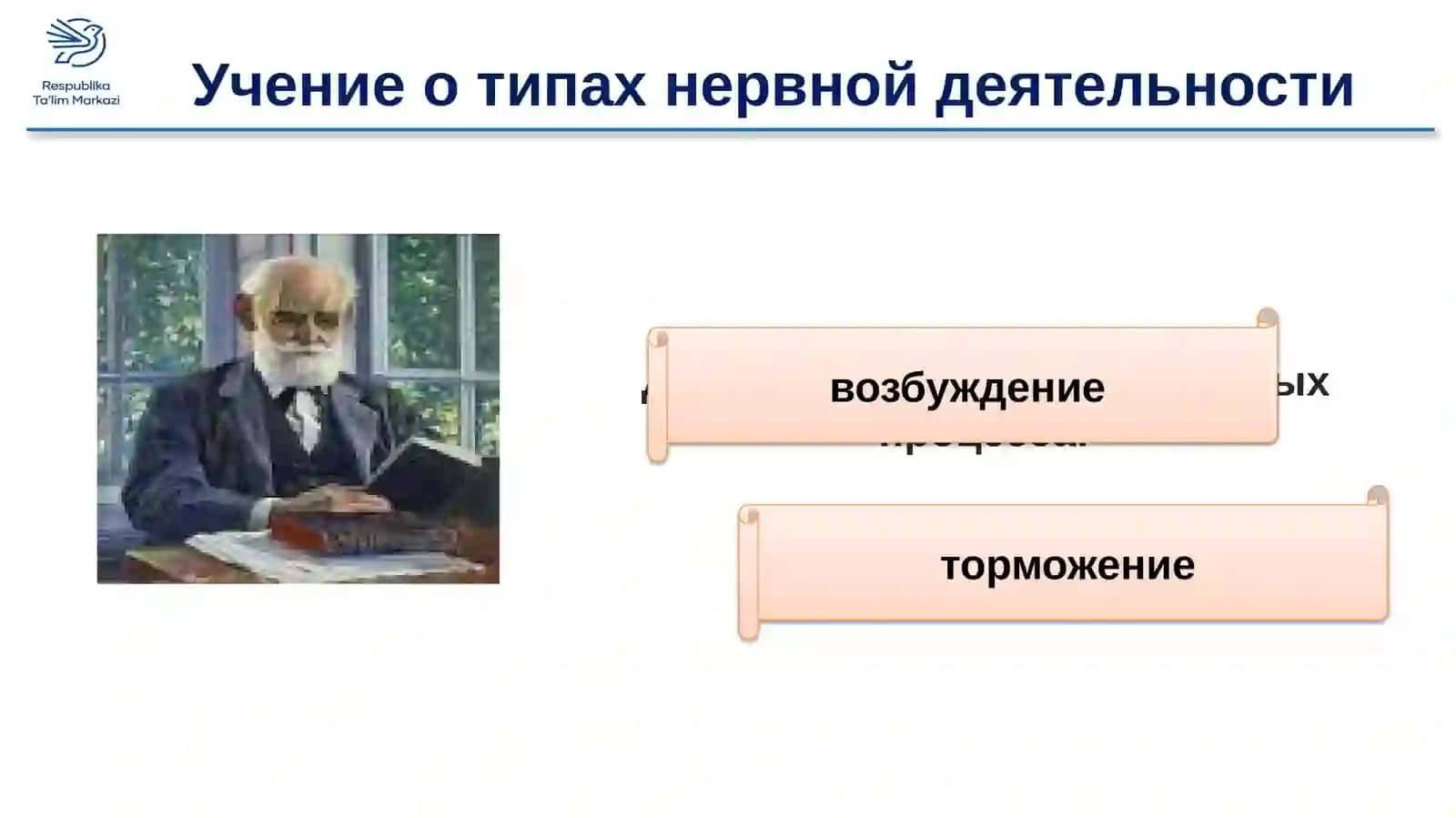 ТИПЫ НЕРВНОЙ ДЕЯТЕЛЬНОСТИ, ГИГИЕНА НЕРВНОЙ СИСТЕМЫ 4