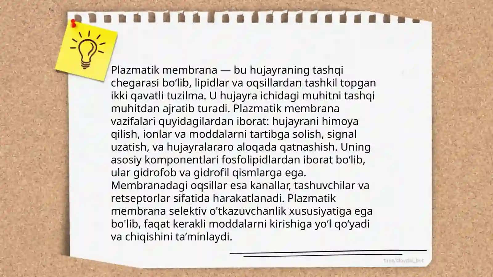 Hujayra fiziologiyasi va òsimlik hujayrasining òziga xos xususiyatlari 4