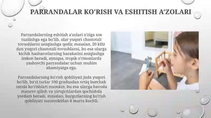 Qushlar sinfi 4