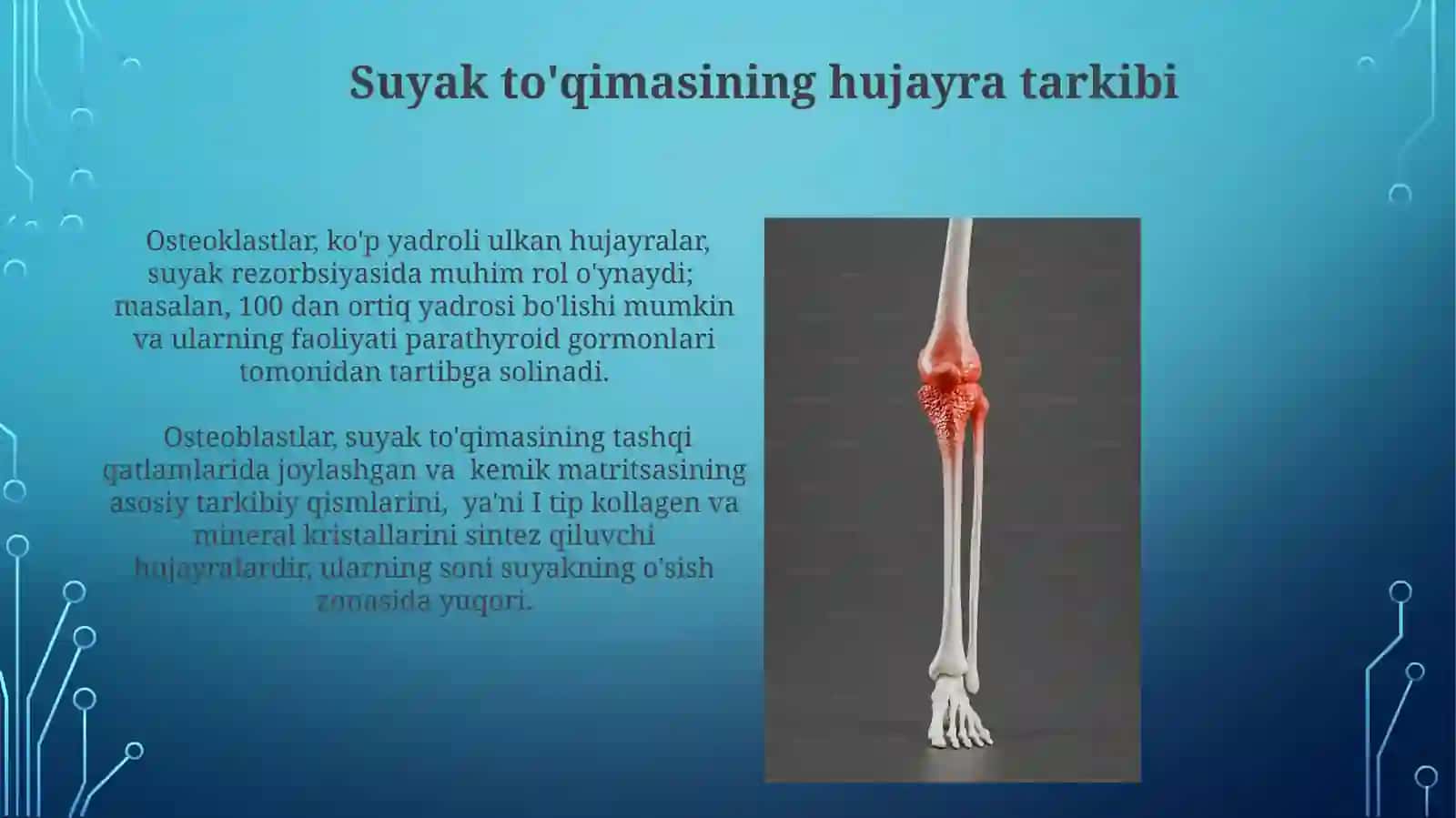 Suyaktõqimasininggistatuzilishi 4