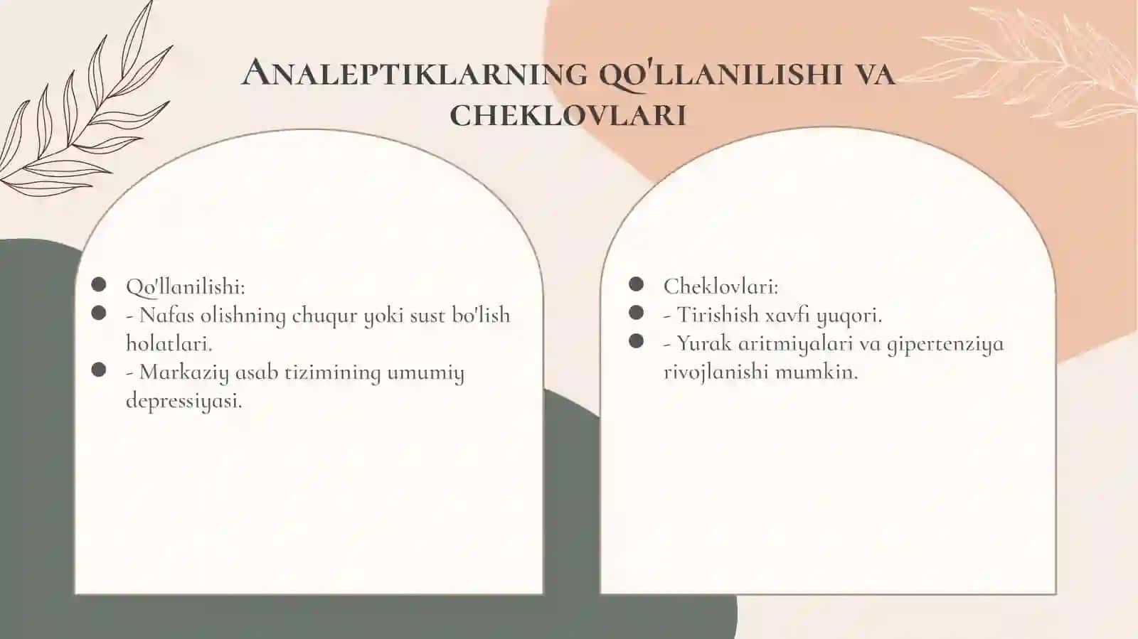 Nootrop vositalar: Ta'rifi va klassifikatsiyasi 4
