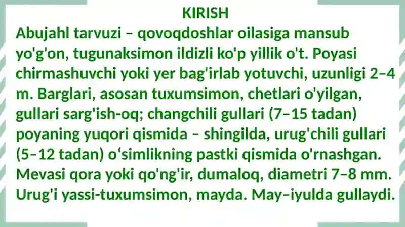 Citrullus colocynthis (Achchiq tarvuz) o'simligi 4