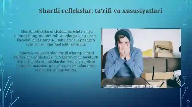 Oliy nerv sistemasi shartli va shartsiz reflekslar 4