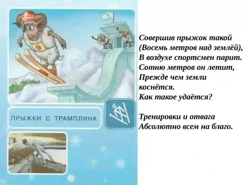 Зимние виды спорта Презентация 4