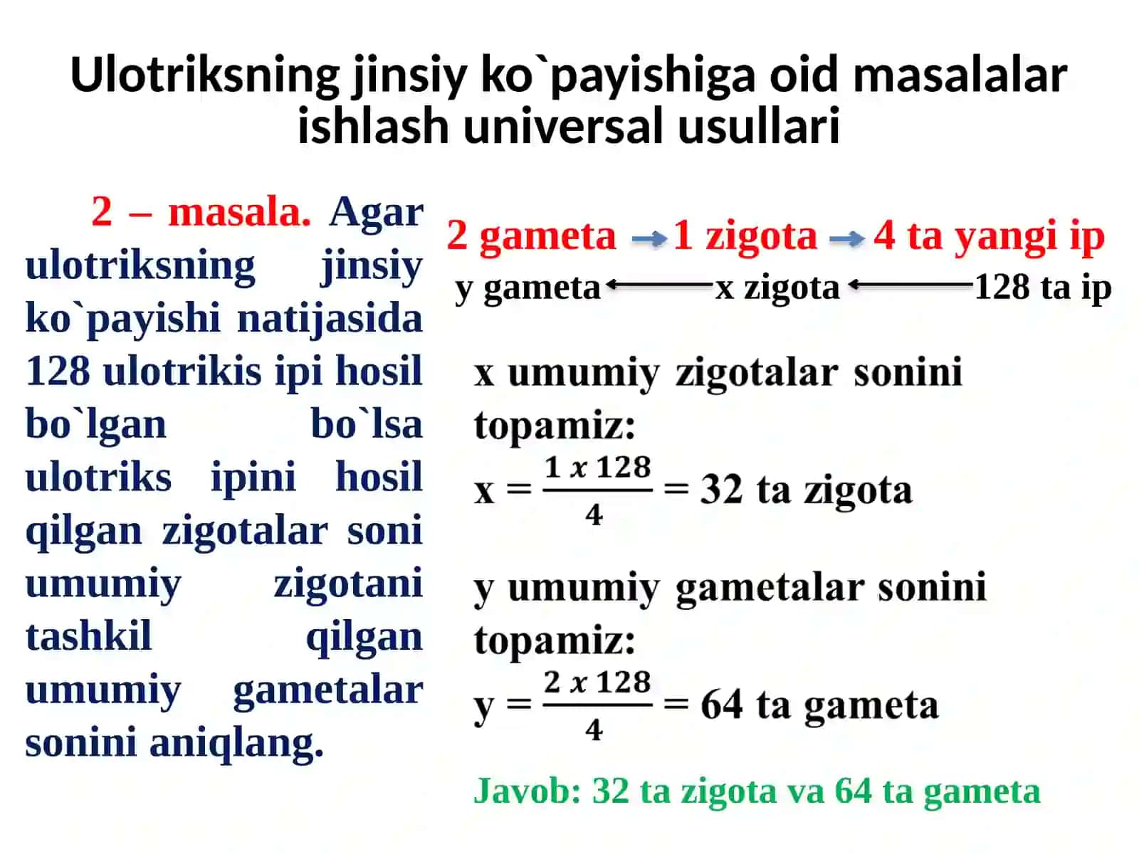 Ulotriksning jinsiy ko`payishiga oid masalalar ishlash universal usullari 4