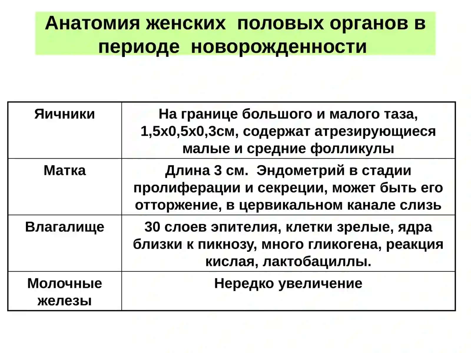 Анатомия и физиология шейки матки 4