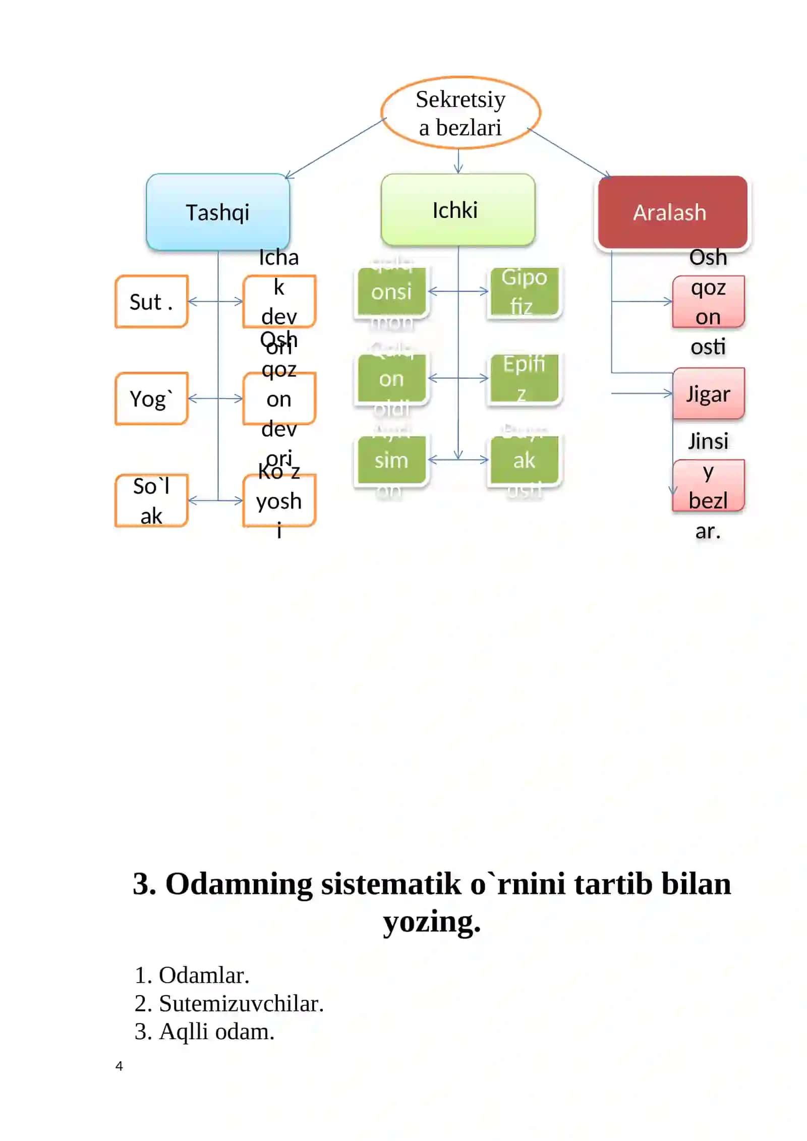 Klaster vositasida Sekretsiya bezlari tuzilishini yozing(Javoblar) 4