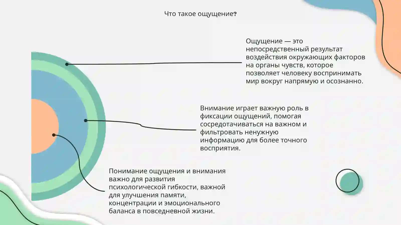 Психология. Внимание и ощущение 4