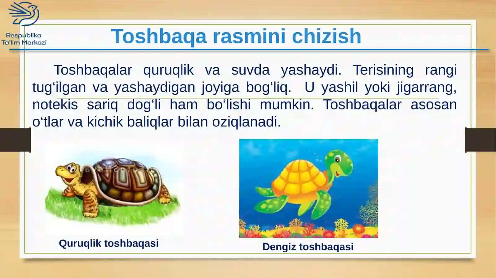 2-sinf Tasviriy san'at Toshbaqa rasmini chizish dars ishlanma 4