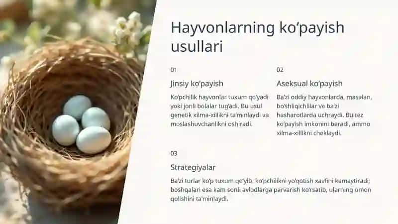Tabiiy fanlarni nazariyasi va metodikasi 4