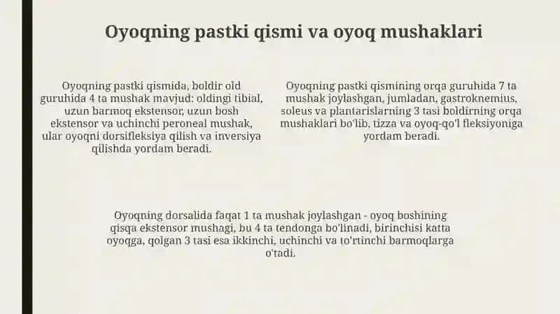 Chanoqvasonmushaklari.Boldirvaoyoqpanjamushaklari.Oyoqningsinovialqinlari 4
