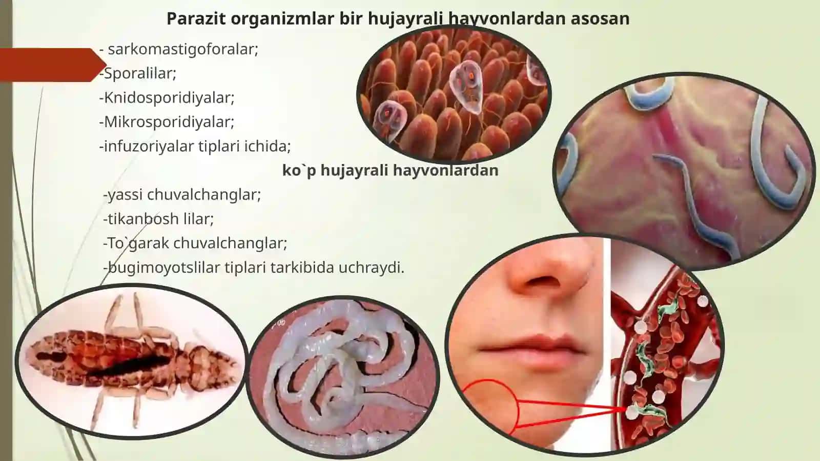PARAZITOLOGIYA FANI 4