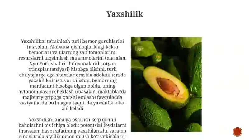 Bioetikaning asosiy prinsplari 4