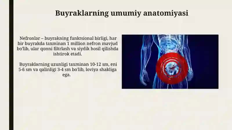 Ayiruv sistemasi.Buyraklar fiziologiyasi 4