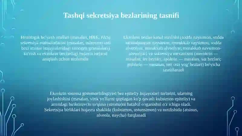 Ekzokrin tizimi gistomorfologiyasi 4