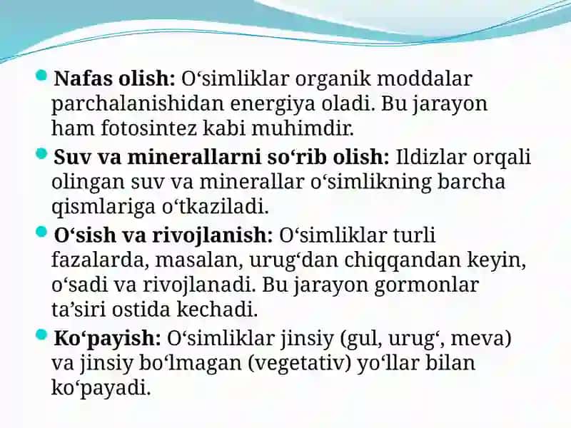 O’simliklar anatomiyasi va fiziologiyasi 4