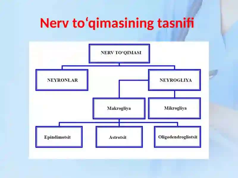 NERV TO’QIMASI 4