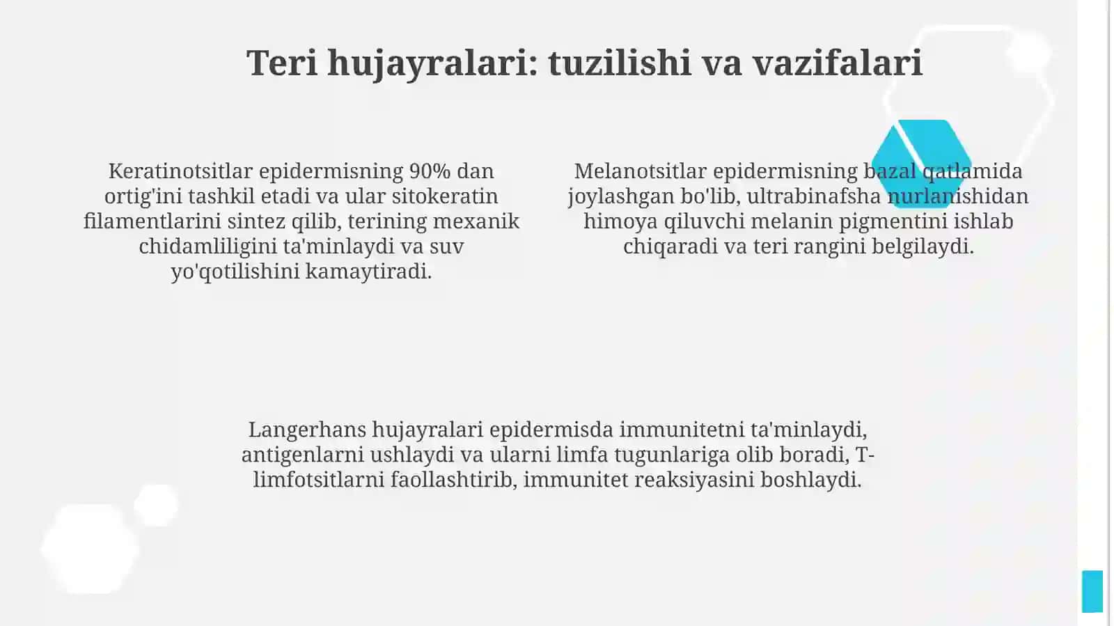 Teri funksiyasi va gistologiyasi 4