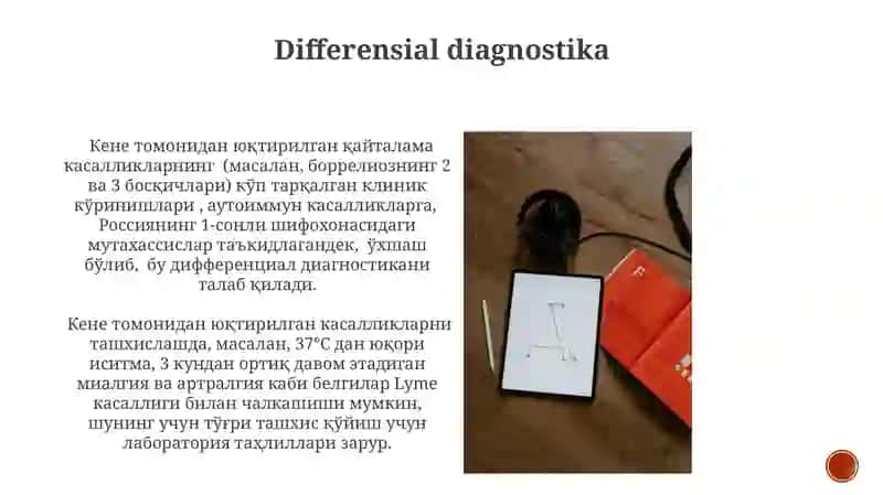 tikanboshlilar tipi xarakterli xususiyatlari 4