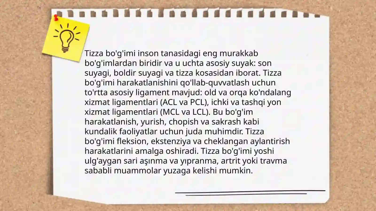 Tizza bo'g'imi anatomiyasi 4
