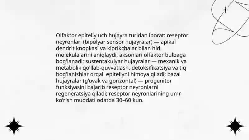 Hid bilish organining tuzilishi va uning regeneratsiya qilish hususiyatlari 4