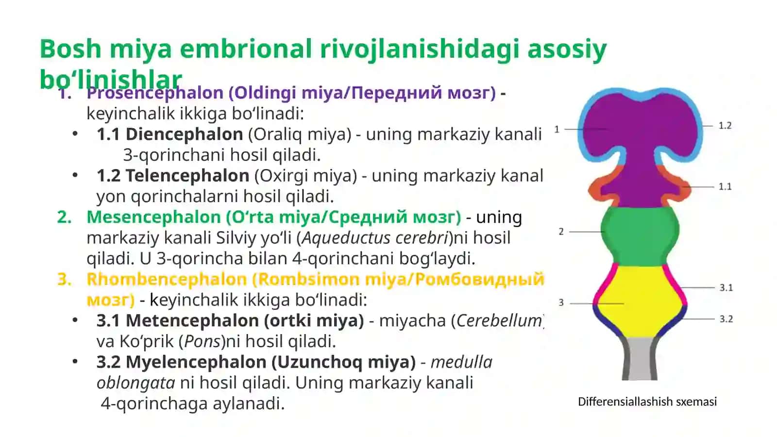 Yoshga doir o’zgarishlari 4