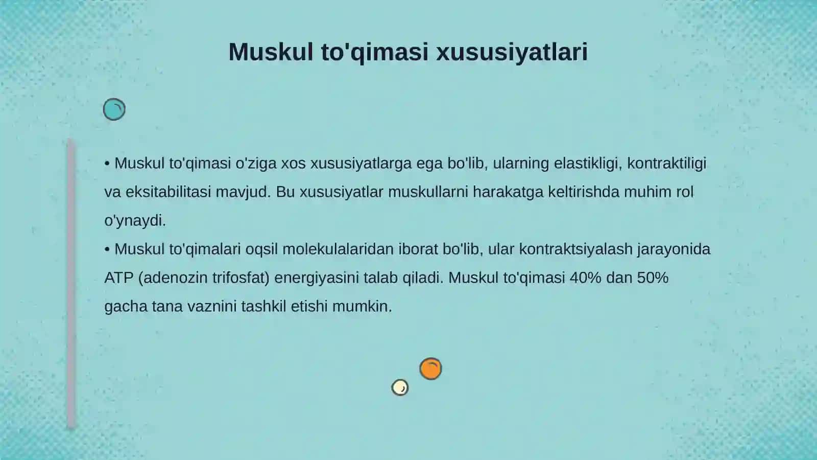 Muskul to'qimasi Gavda muskullari gavdaning orqa guruh muskullari 4