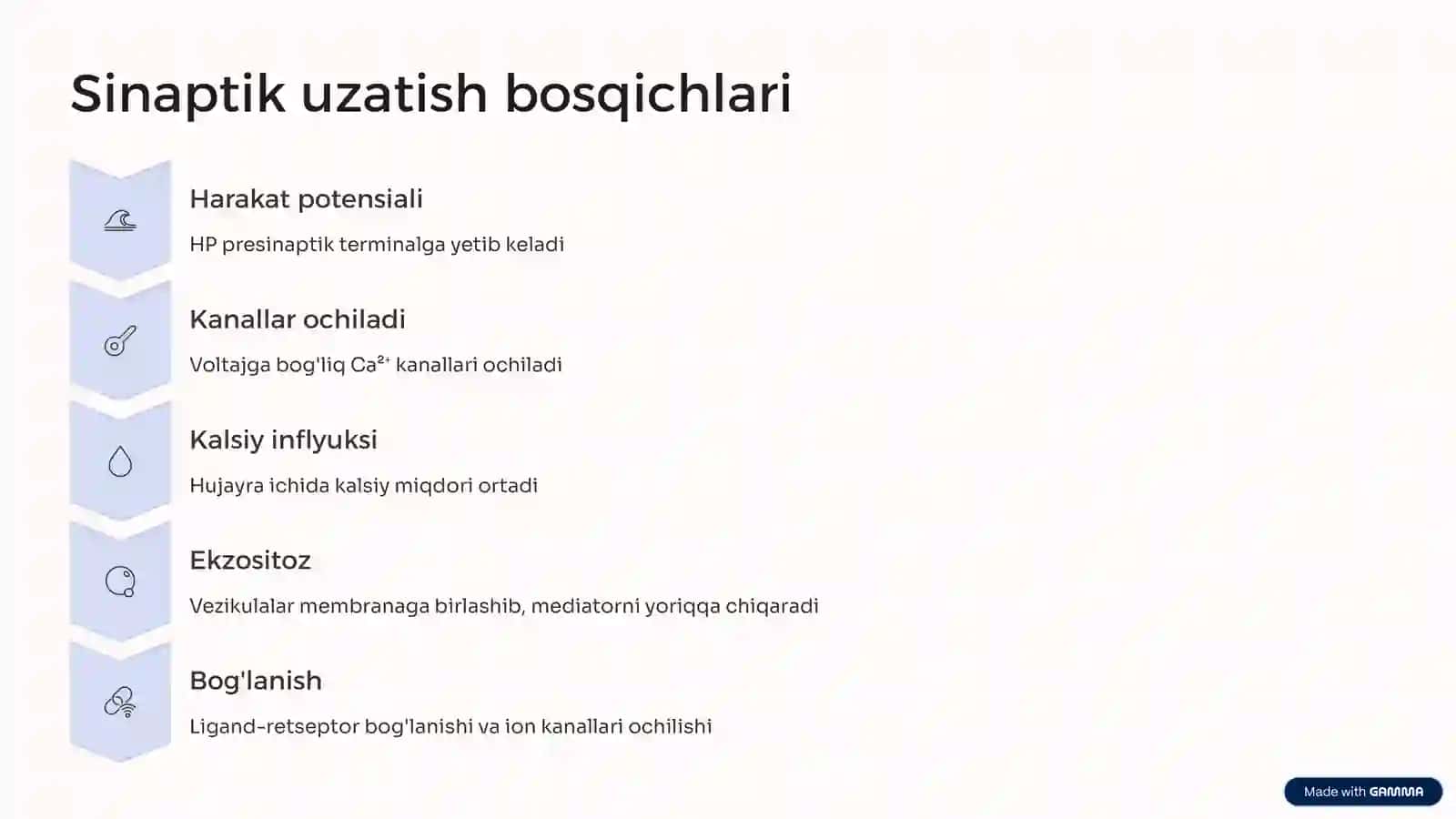 Sinapslar fiziologiyasi: Neyronlararo muloqot asosi 4